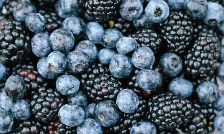 Could This Be The Best Diet For Brain Aging? New Study Explains