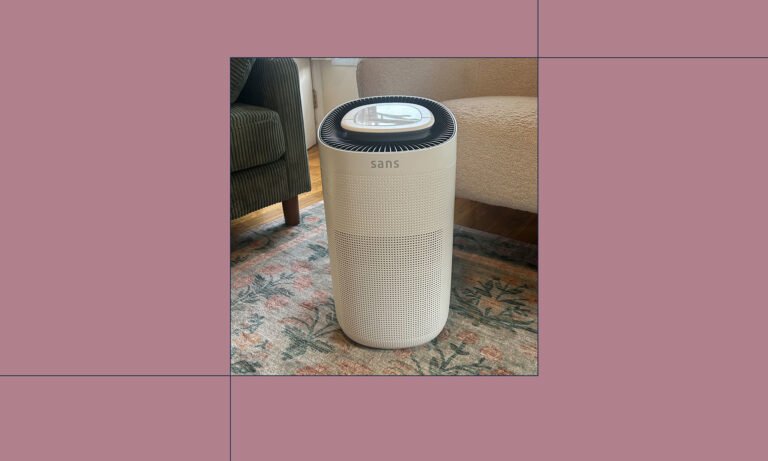 This Editor-Approved Air Purifier Tackles Wildfire Smoke, Mold, & Dust