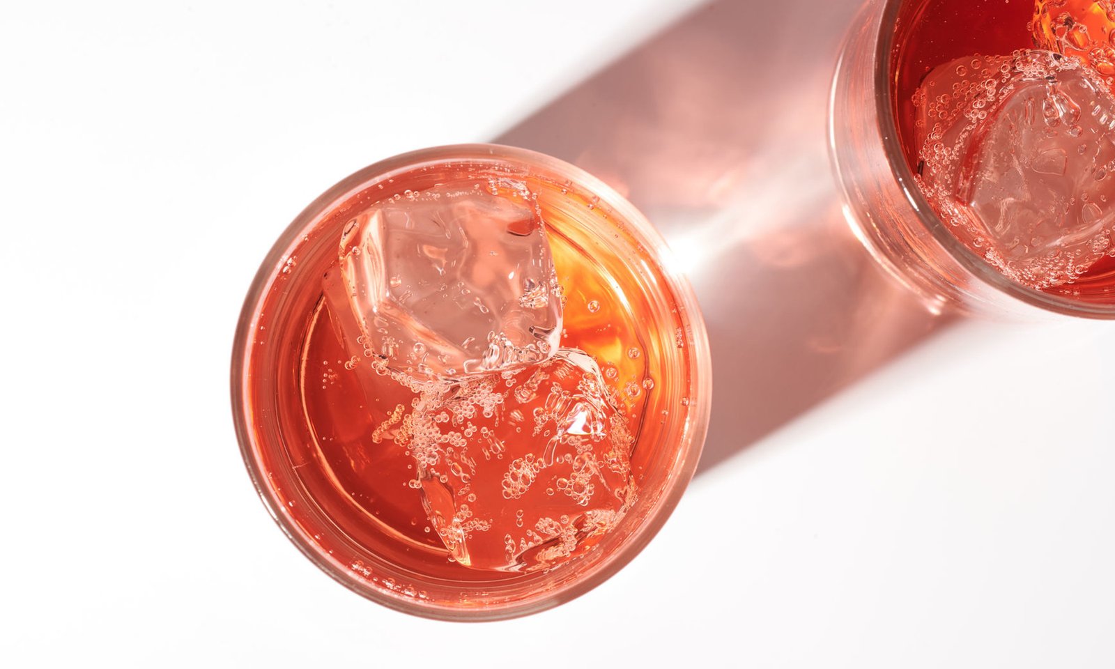 The Type Of Tea You Use To Make Kombucha Shapes Its Health Benefits